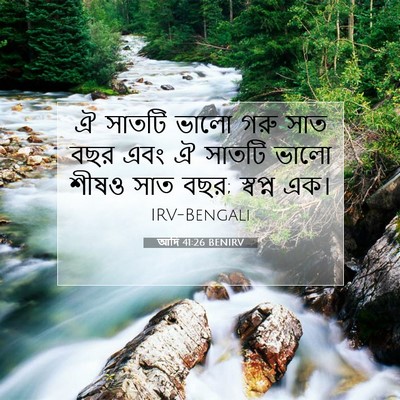 Picture 07 - আদি 41:26 BENIRV - ঐ সাতটি ভালো গরু - Bible Verse Picture