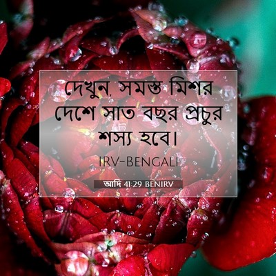 Picture 07 - আদি 41:29 BENIRV - দেখুন, সমস্ত মিশর - Bible Verse Picture