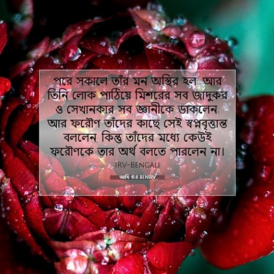 Picture 07 - আদি 41:8 BENIRV - পরে সকালে তাঁর মন - Bible Verse Picture