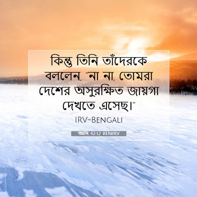 Picture 07 - আদি 42:12 BENIRV - কিন্তু তিনি - Bible Verse Picture