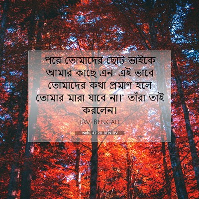 Picture 07 - আদি 42:20 BENIRV - পরে তোমাদের ছোট - Bible Verse Picture