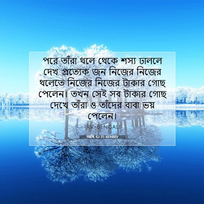 Picture 07 - আদি 42:35 BENIRV - পরে তাঁরা থলে থেকে - Bible Verse Picture