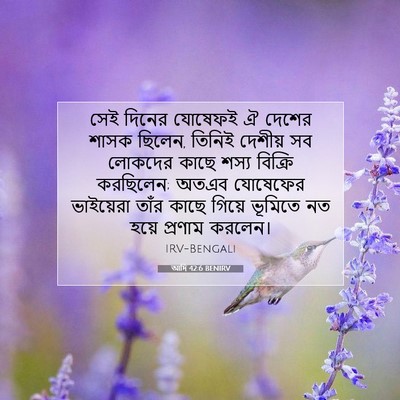 Picture 07 - আদি 42:6 BENIRV - সেই দিনের যোষেফই ঐ - Bible Verse Picture