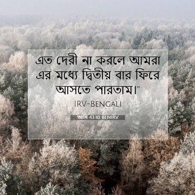 Picture 07 - আদি 43:10 BENIRV - এত দেরী না করলে - Bible Verse Picture