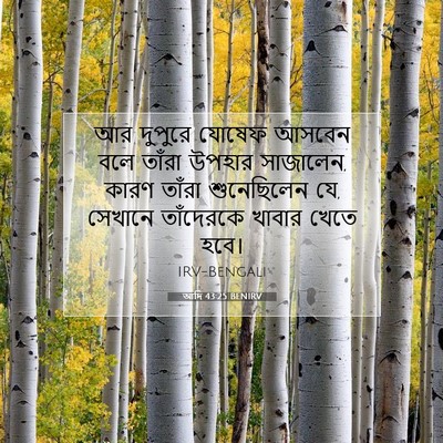 Picture 07 - আদি 43:25 BENIRV - আর দুপুরে যোষেফ - Bible Verse Picture