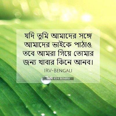 Picture 07 - আদি 43:4 BENIRV - যদি তুমি আমাদের - Bible Verse Picture