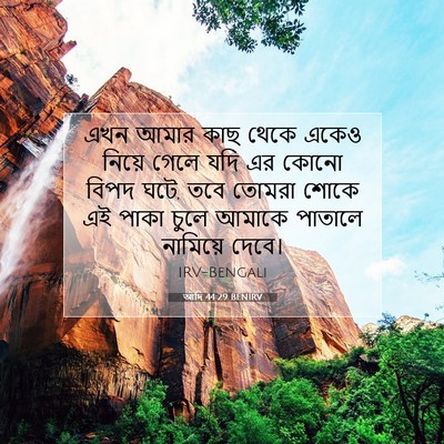 Picture 07 - আদি 44:29 BENIRV - এখন আমার কাছ থেকে - Bible Verse Picture