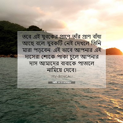 Picture 07 - আদি 44:31 BENIRV - তবে এই যুবকের - Bible Verse Picture