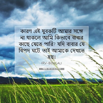 Picture 07 - আদি 44:34 BENIRV - কারণ এই যুবকটি - Bible Verse Picture