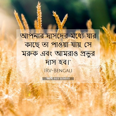 Picture 07 - আদি 44:9 BENIRV - আপনার দাসদের - Bible Verse Picture