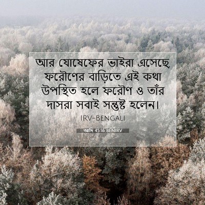 Picture 07 - আদি 45:16 BENIRV - আর যোষেফের ভাইরা - Bible Verse Picture