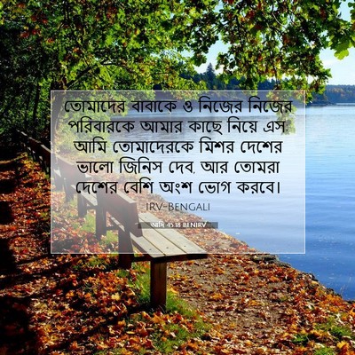 Picture 07 - আদি 45:18 BENIRV - তোমাদের বাবাকে ও - Bible Verse Picture