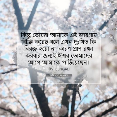 Picture 07 - আদি 45:5 BENIRV - কিন্তু তোমরা - Bible Verse Picture