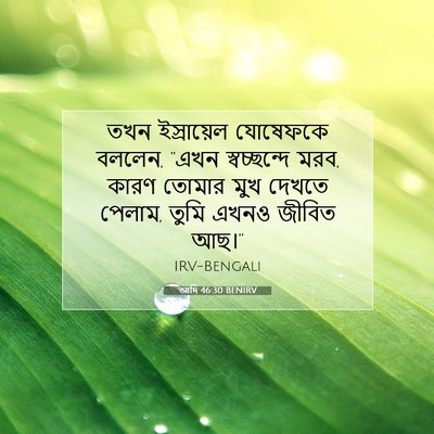 Picture 07 - আদি 46:30 BENIRV - তখন ইস্রায়েল - Bible Verse Picture