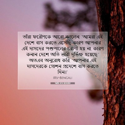 Picture 07 - আদি 47:4 BENIRV - তাঁরা ফরৌণকে আরো - Bible Verse Picture
