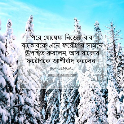 Picture 07 - আদি 47:7 BENIRV - পরে যোষেফ নিজের - Bible Verse Picture