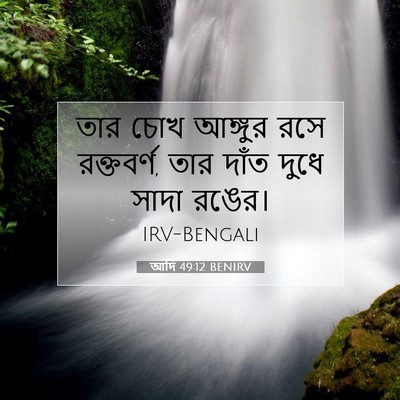 Picture 07 - আদি 49:12 BENIRV - তার চোখ আঙ্গুর রসে - Bible Verse Picture