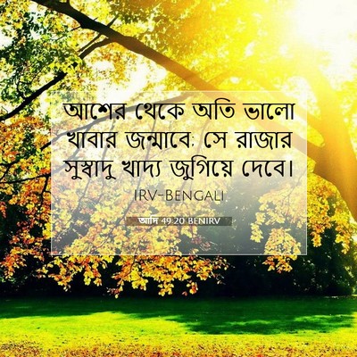 Picture 07 - আদি 49:20 BENIRV - আশের থেকে অতি ভালো - Bible Verse Picture