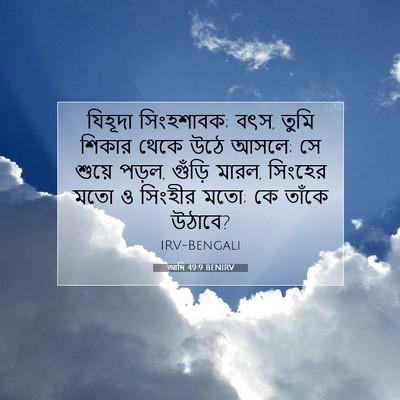 Picture 07 - আদি 49:9 BENIRV - যিহূদা সিংহশাবক; - Bible Verse Picture