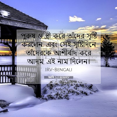 Picture 07 - আদি 5:2 BENIRV - পুরুষ ও স্ত্রী করে - Bible Verse Picture