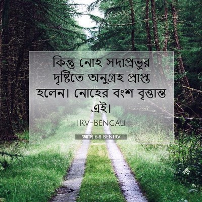 Picture 07 - আদি 6:8 BENIRV - কিন্তু নোহ - Bible Verse Picture