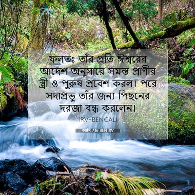 Picture 07 - আদি 7:16 BENIRV - ফলতঃ তাঁর প্রতি - Bible Verse Picture