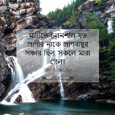 Picture 07 - আদি 7:22 BENIRV - মাটিতে চলনশীল যত - Bible Verse Picture