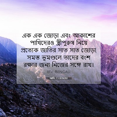 Picture 07 - আদি 7:3 BENIRV - এক এক জোড়া এবং - Bible Verse Picture