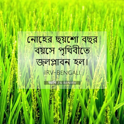 Picture 07 - আদি 7:6 BENIRV - নোহের ছয়শো বছর - Bible Verse Picture