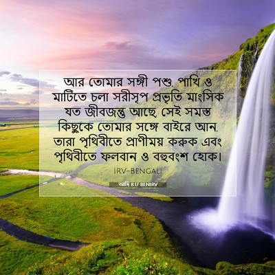 Picture 07 - আদি 8:17 BENIRV - আর তোমার সঙ্গী পশু, - Bible Verse Picture