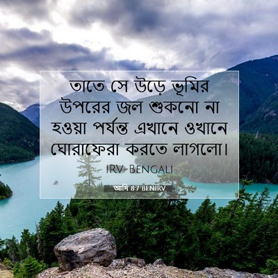 Picture 07 - আদি 8:7 BENIRV - তাতে সে উড়ে ভূমির - Bible Verse Picture