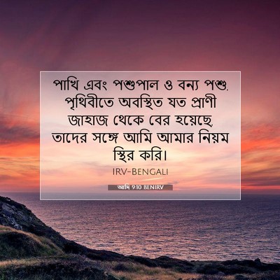 Picture 07 - আদি 9:10 BENIRV - পাখি এবং পশুপাল ও - Bible Verse Picture