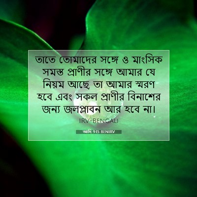 Picture 07 - আদি 9:15 BENIRV - তাতে তোমাদের - Bible Verse Picture