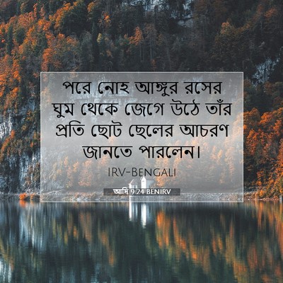 Picture 07 - আদি 9:24 BENIRV - পরে নোহ আঙ্গুর - Bible Verse Picture