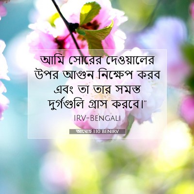 Picture 07 - আমোচ 1:10 BENIRV - আমি সোরের - Bible Verse Picture