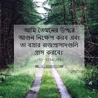 Picture 07 - আমোচ 1:12 BENIRV - আমি তৈমনের উপরে - Bible Verse Picture