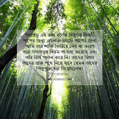 Picture 07 - আমোচ 2:4 BENIRV - সদাপ্রভু এই কথা - Bible Verse Picture