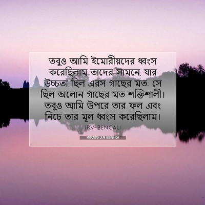 Picture 07 - আমোচ 2:9 BENIRV - তবুও আমি - Bible Verse Picture