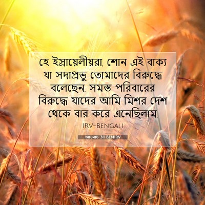 Picture 07 - আমোচ 3:1 BENIRV - হে - Bible Verse Picture