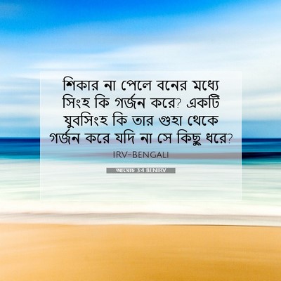 Picture 07 - আমোচ 3:4 BENIRV - শিকার না পেলে বনের - Bible Verse Picture