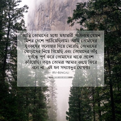 Picture 07 - আমোচ 4:10 BENIRV - “আমি তোমাদের - Bible Verse Picture