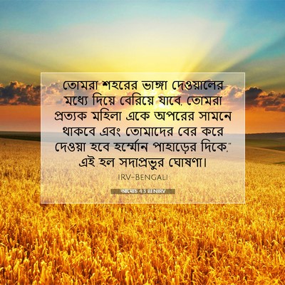 Picture 07 - আমোচ 4:3 BENIRV - তোমরা শহরের - Bible Verse Picture