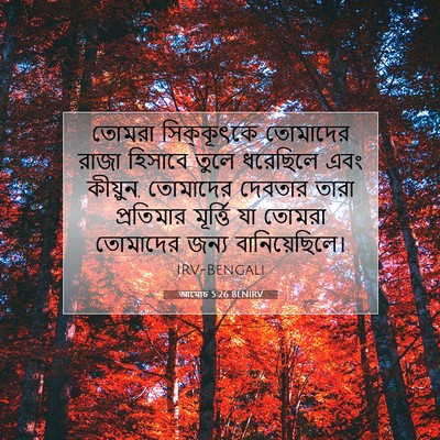 Picture 07 - আমোচ 5:26 BENIRV - তোমরা সিক্কূৎকে - Bible Verse Picture