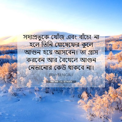 Picture 07 - আমোচ 5:6 BENIRV - সদাপ্রভুকে খোঁজ - Bible Verse Picture
