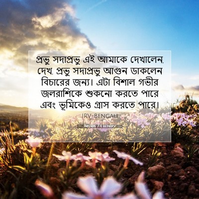Picture 07 - আমোচ 7:4 BENIRV - প্রভু সদাপ্রভু এই - Bible Verse Picture