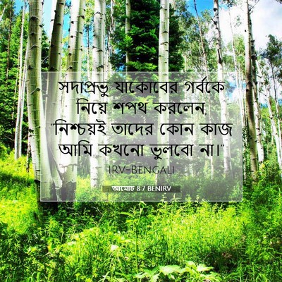 Picture 07 - আমোচ 8:7 BENIRV - সদাপ্রভু যাকোবের - Bible Verse Picture
