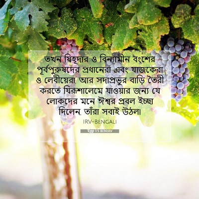 Picture 07 - ইজ্ৰা 1:5 BENIRV - তখন যিহূদার ও - Bible Verse Picture