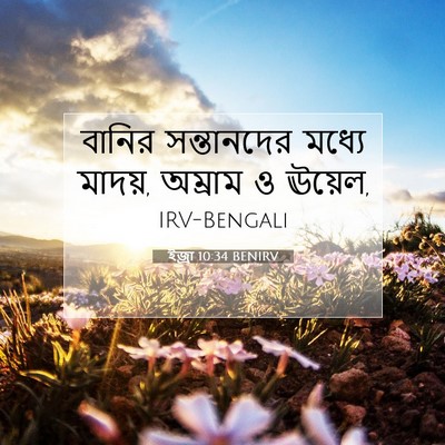 Picture 07 - ইজ্ৰা 10:34 BENIRV - বানির সন্তানদের - Bible Verse Picture