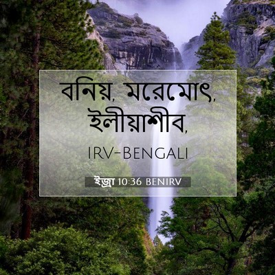 Picture 07 - ইজ্ৰা 10:36 BENIRV - বনিয়, মরেমোৎ, - Bible Verse Picture