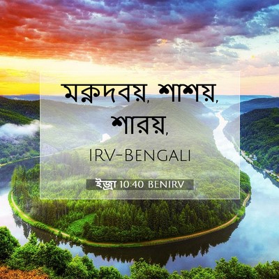 Picture 07 - ইজ্ৰা 10:40 BENIRV - মক্নদবয়, শাশয়, - Bible Verse Picture